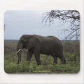 African Elephant Wildlife Supporter Mousepad Muismat (Voorkant)