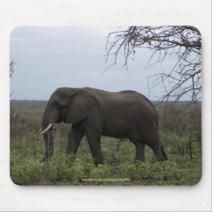 African Elephant Wildlife Supporter Mousepad Muismat