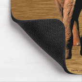 African Elephant Wildlife Supporter Mousepad Muismat (Hoek)