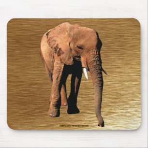 African Elephant Wildlife Supporter Mousepad Muismat