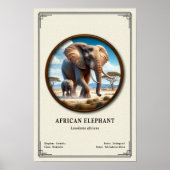 African Elephant Zoology Series Poster (Voorkant)