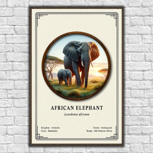 African Elephant Zoology Series Poster