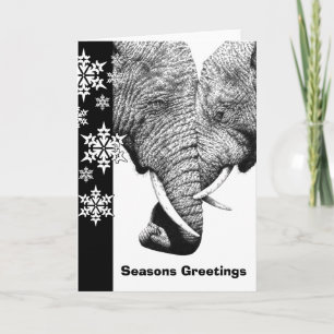 African Elephants Christmas Kaart