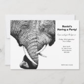 African Elephants Party-uitnodiging Kaart (Voorkant)