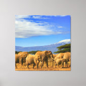 African Elephants Safari Canvas Afdruk (Voorkant)