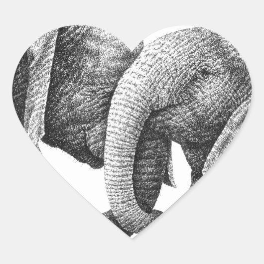 African Elephants Sticker (Voorkant)