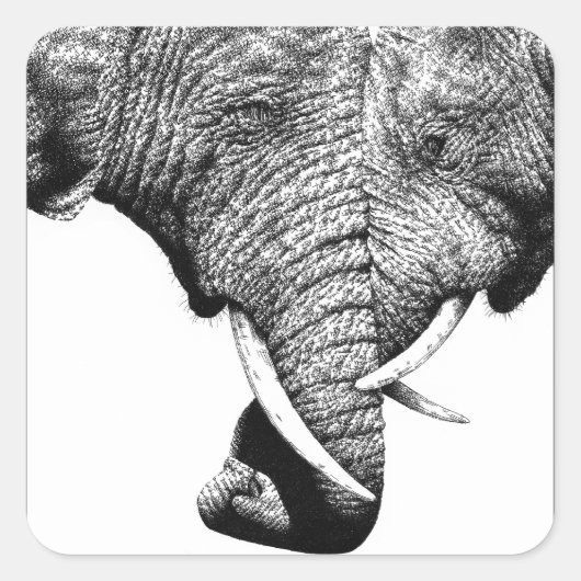 African Elephants Sticker (Voorkant)