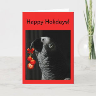 African Grey Christmas Holiday Greeting Kaart
