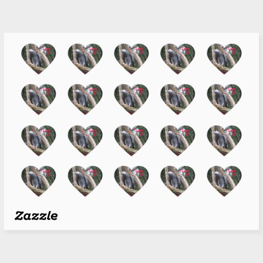 African Grey Heart Sticker (Vel)