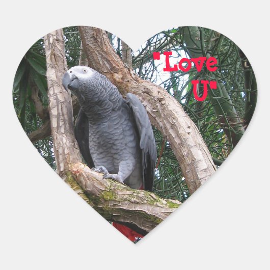 African Grey Heart Sticker (Voorkant)