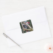 African Grey Heart Sticker (Envelop)