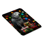 African Grey on Gifts — Festive Greeting Card Magneet (Rechterzijde)
