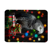 African Grey on Gifts — Festive Greeting Card Magneet (Horizontaal)