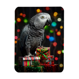 African Grey on Gifts — Festive Greeting Card Magneet