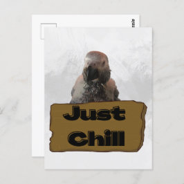 African grey papegaai, Postcrossing Briefkaart