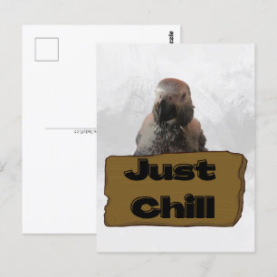 African grey papegaai, Postcrossing Briefkaart