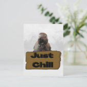 African grey papegaai, Postcrossing Briefkaart (Staand voorkant)