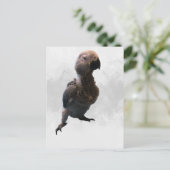 African grey papegaai, Postcrossing Briefkaart (Staand voorkant)