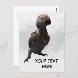 African grey papegaai, Postcrossing Briefkaart