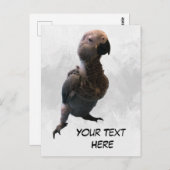 African grey papegaai, Postcrossing Briefkaart (Voorkant / Achterkant)