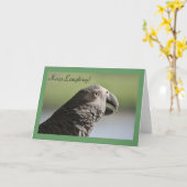 African Grey Parrot "Blijf lachen" Wenskaart Kaart (Gele Bloem)
