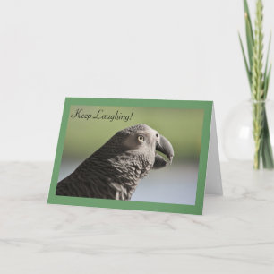 African Grey Parrot "Blijf lachen" Wenskaart Kaart