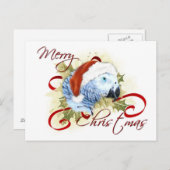 African Grey Parrot Christmas Briefkaarten (Voorkant / Achterkant)