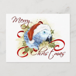 African Grey Parrot Christmas Briefkaarten