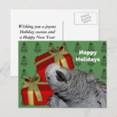 African Grey Parrot Christmas Holiday Briefkaart (Voorkant / Achterkant)