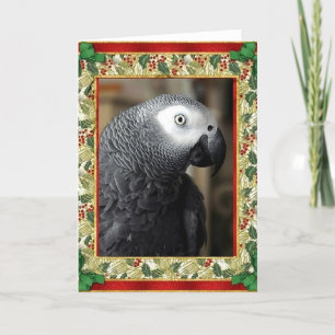 African Grey Parrot Christmas-Kaart Feestdagen Kaart