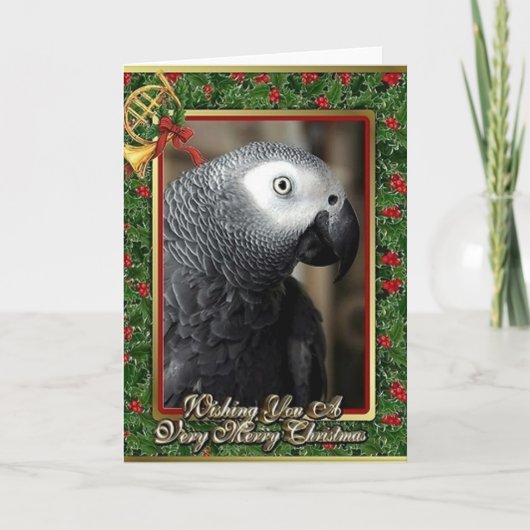 African Grey Parrot Christmas-Kaart Feestdagen Kaart (Voorkant)