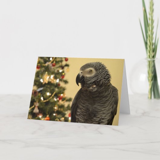 African Grey Parrot Christmas-Kaart Feestdagen Kaart (Voorkant)