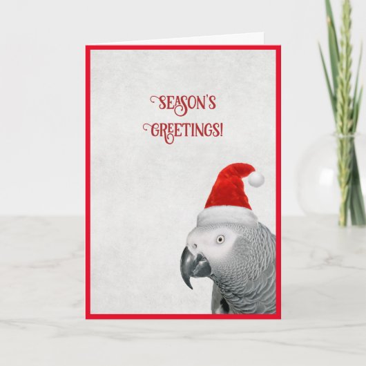 African Grey Parrot Christmas-Kaart Feestdagen Kaart (Voorkant)