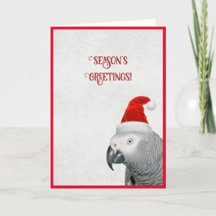 African Grey Parrot Christmas-Kaart Feestdagen Kaart
