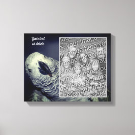 African Grey Parrot Creëer Uw eigen foto Canvas Afdruk