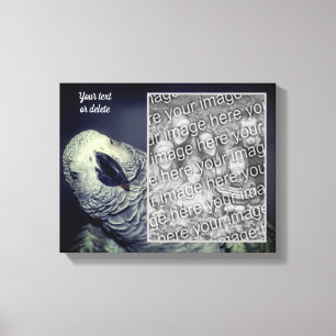 African Grey Parrot Creëer Uw eigen foto Canvas Afdruk