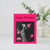 African Grey Parrot Happy Birthday Briefkaart (Staand voorkant)