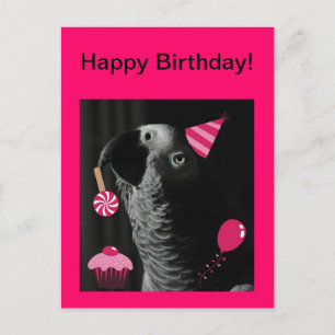 African Grey Parrot Happy Birthday Briefkaart