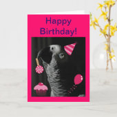 African Grey Parrot Happy Birthday Wenskaart Kaart (Gele Bloem)