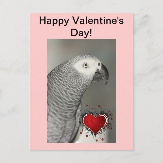 African Grey Parrot Happy Valentine's Day Briefkaa Feestdagenkaart (Voorkant)