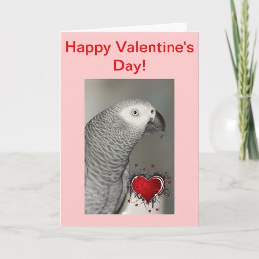 African Grey Parrot Happy Valentine's Day Kaart (Voorkant)