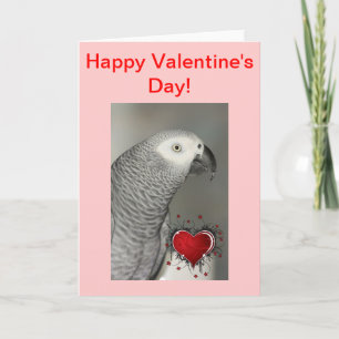 African Grey Parrot Happy Valentine's Day Kaart