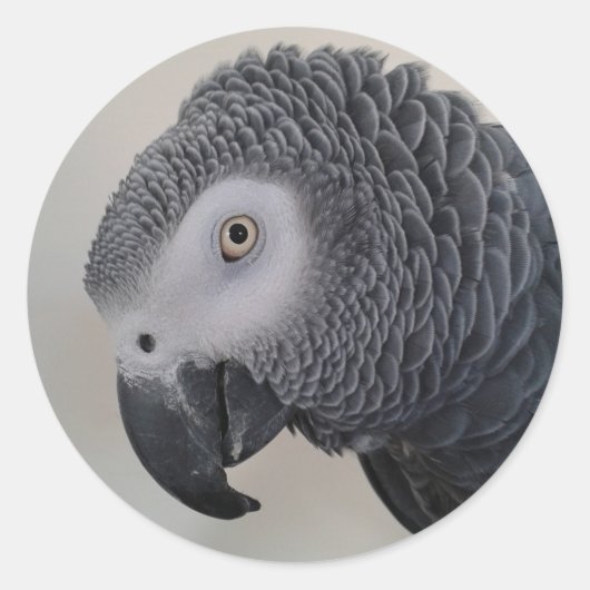 African Grey Parrot Head-Stickers Ronde Sticker (Voorkant)