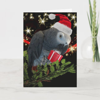 African Grey Parrot Holiday Kaart