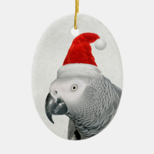 African Grey Parrot in een Santa Hat Ornament