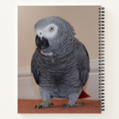 African Grey Parrot Journal Notitieboek (Achterkant)