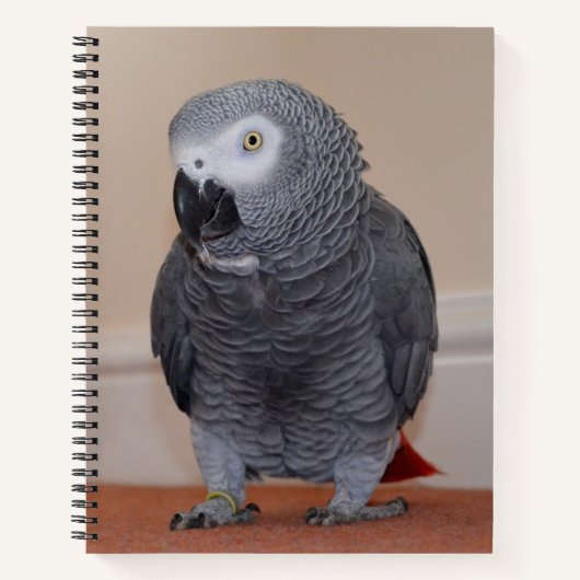 African Grey Parrot Journal Notitieboek (Voorkant)