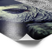 African Grey Parrot Lijst Creëer Je Eigen 8x10 Foto Afdruk (Hoek)