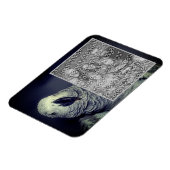 African Grey Parrot Lijst Uw foto toevoegen Magneet (Linkerzijde)