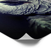 African Grey Parrot Lijst Uw foto toevoegen Poster (Hoek)